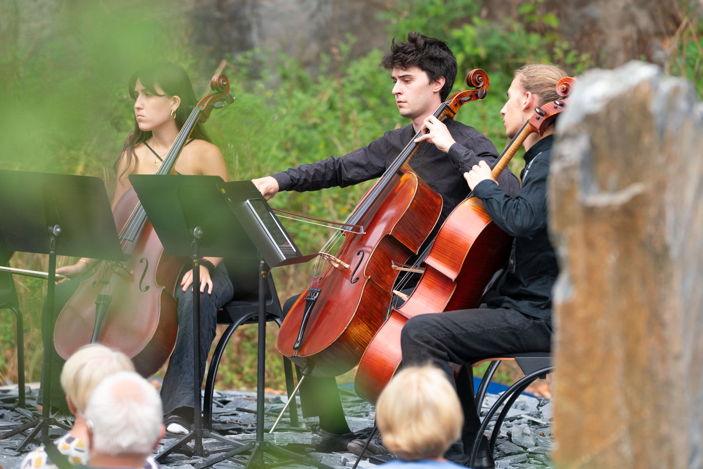 Cello8_3